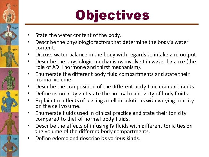 Objectives • State the water content of the body. • Describe the physiologic factors