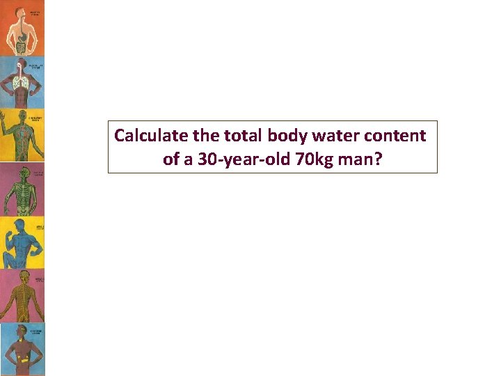 Calculate the total body water content of a 30 -year-old 70 kg man? 