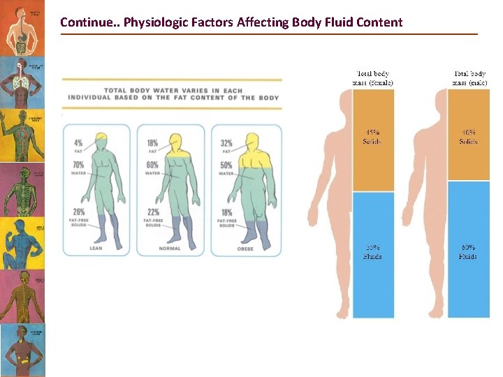Continue. . Physiologic Factors Affecting Body Fluid Content 