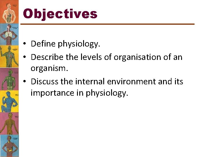 Objectives • Define physiology. • Describe the levels of organisation of an organism. •