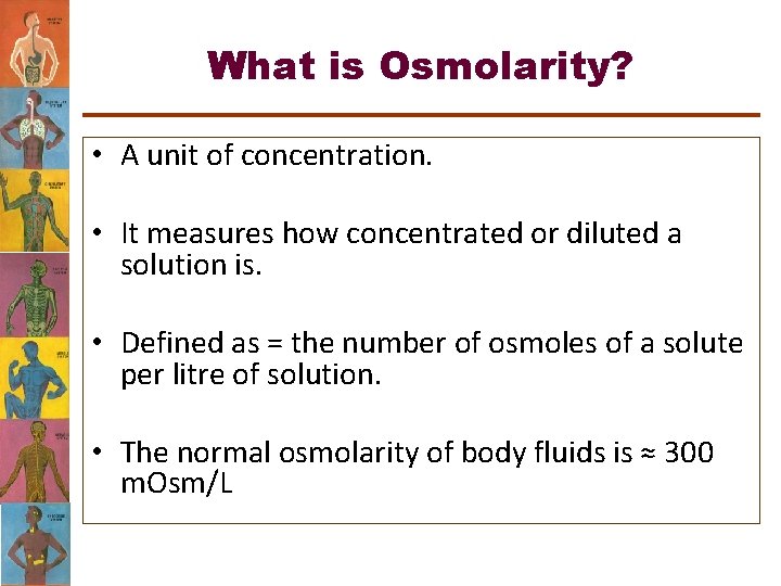 What is Osmolarity? • A unit of concentration. • It measures how concentrated or