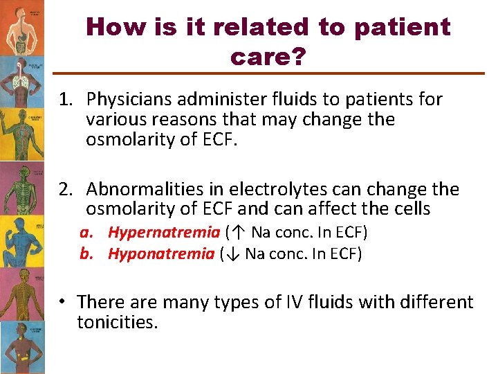How is it related to patient care? 1. Physicians administer fluids to patients for