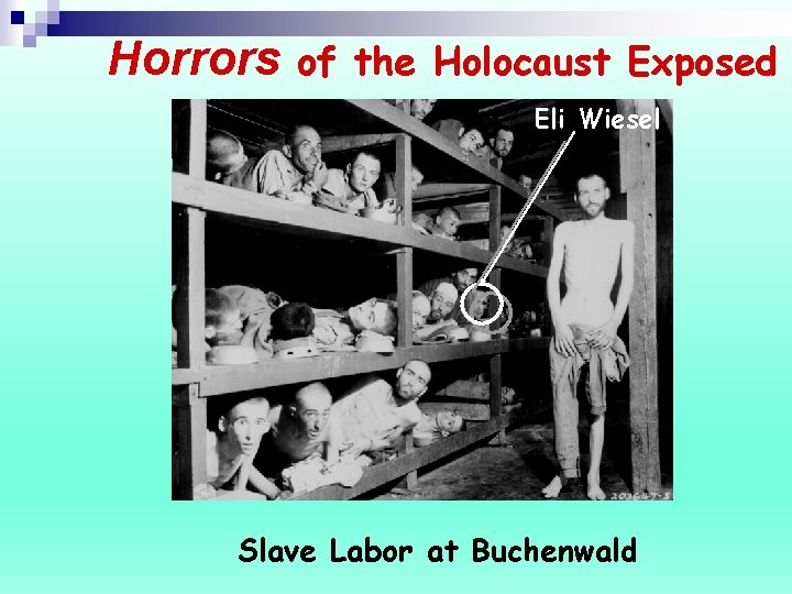 Horrors of the Holocaust Exposed Eli Wiesel Slave Labor at Buchenwald 