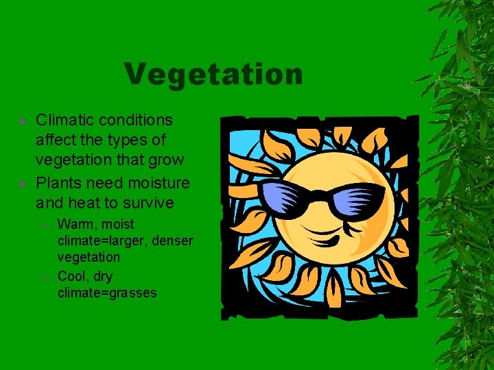 Vegetation Climatic conditions affect the types of vegetation that grow Plants need moisture and