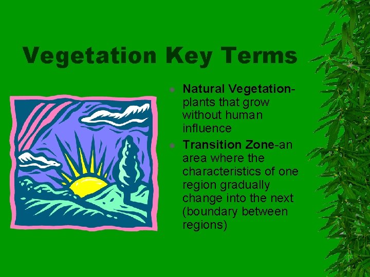 Vegetation Key Terms Natural Vegetationplants that grow without human influence Transition Zone-an area where