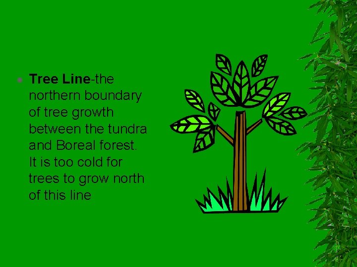  Tree Line-the northern boundary of tree growth between the tundra and Boreal forest.