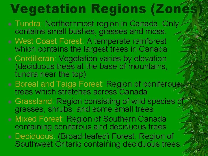 Vegetation Regions (Zones) Tundra: Northernmost region in Canada. Only contains small bushes, grasses and