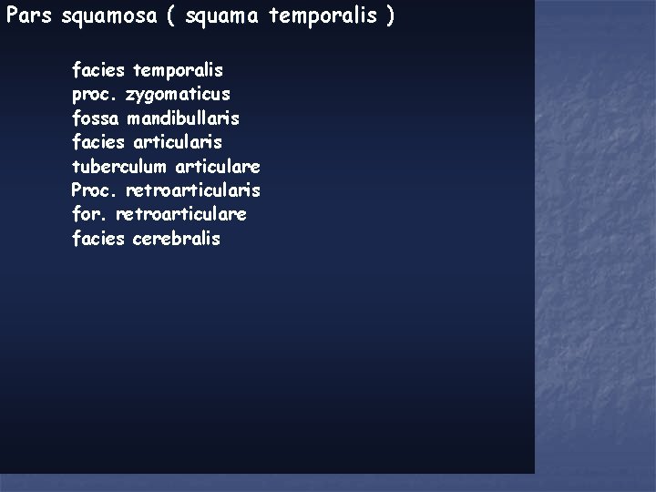 Pars squamosa ( squama temporalis ) facies temporalis proc. zygomaticus fossa mandibullaris facies articularis