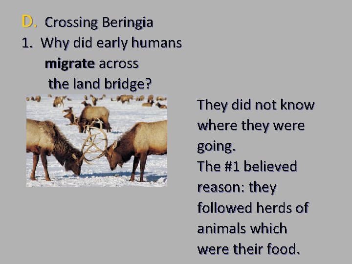 D. Crossing Beringia 1. Why did early humans migrate across the land bridge? They