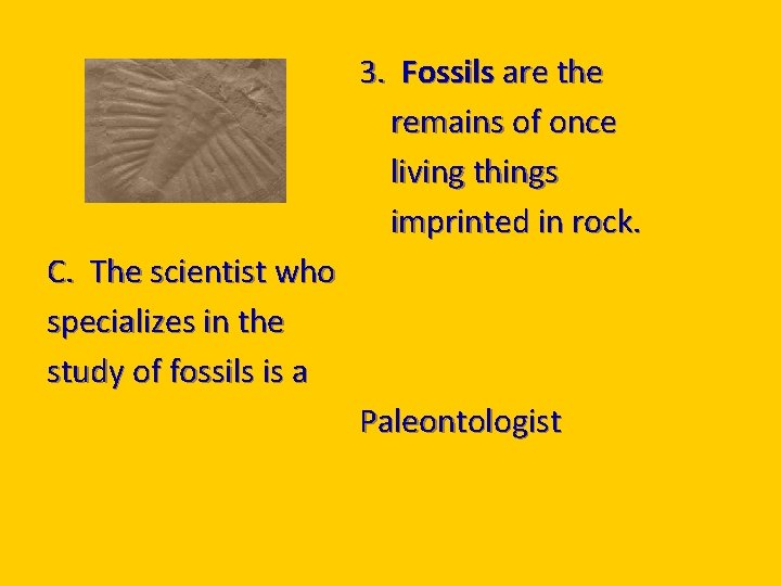 3. Fossils are the remains of once living things imprinted in rock. C. The