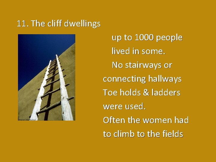 11. The cliff dwellings up to 1000 people lived in some. No stairways or