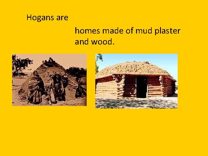 c. Hogans are homes made of mud plaster and wood. 