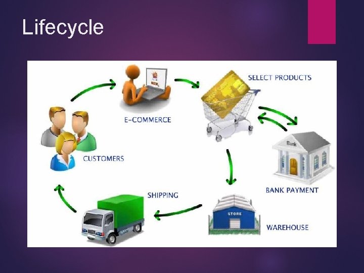 Lifecycle 