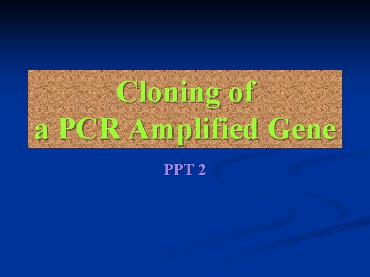 Cloning of a PCR Amplified Gene PPT 2