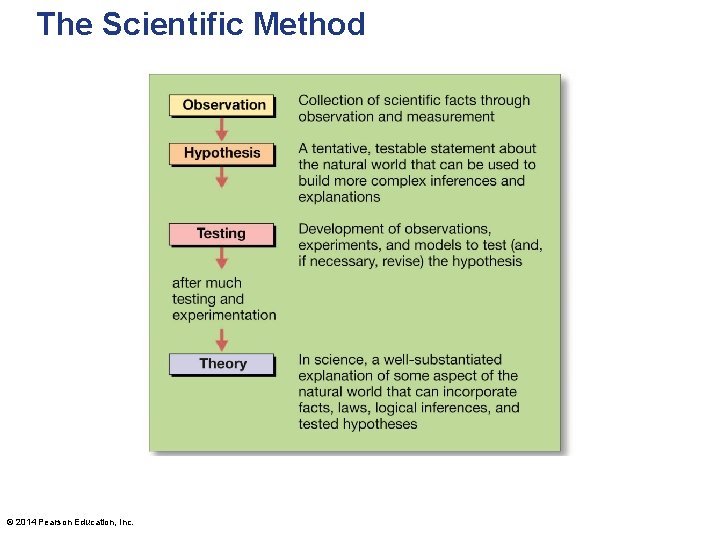 The Scientific Method © 2014 Pearson Education, Inc. 