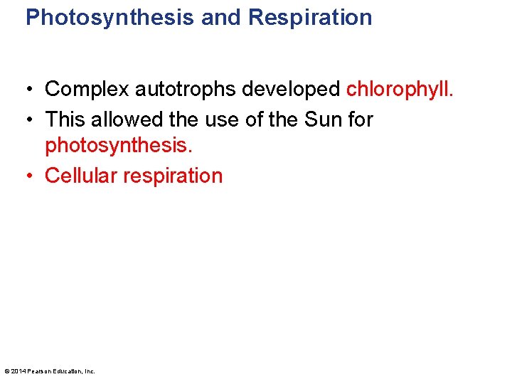 Photosynthesis and Respiration • Complex autotrophs developed chlorophyll. • This allowed the use of