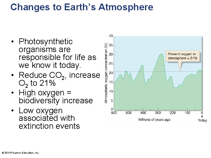 Changes to Earth’s Atmosphere • Photosynthetic organisms are responsible for life as we know