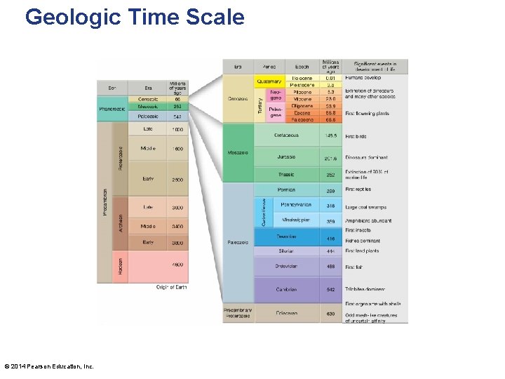 Geologic Time Scale © 2014 Pearson Education, Inc. 