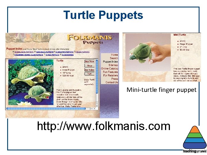 Turtle Puppets Mini-turtle finger puppet http: //www. folkmanis. com 