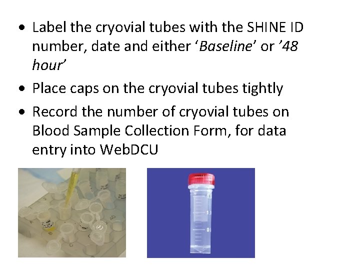  Label the cryovial tubes with the SHINE ID number, date and either ‘Baseline’