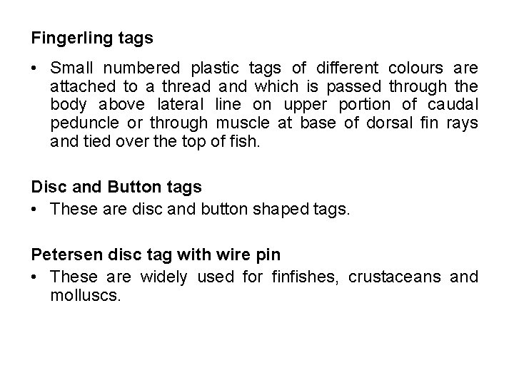 Fingerling tags • Small numbered plastic tags of different colours are attached to a