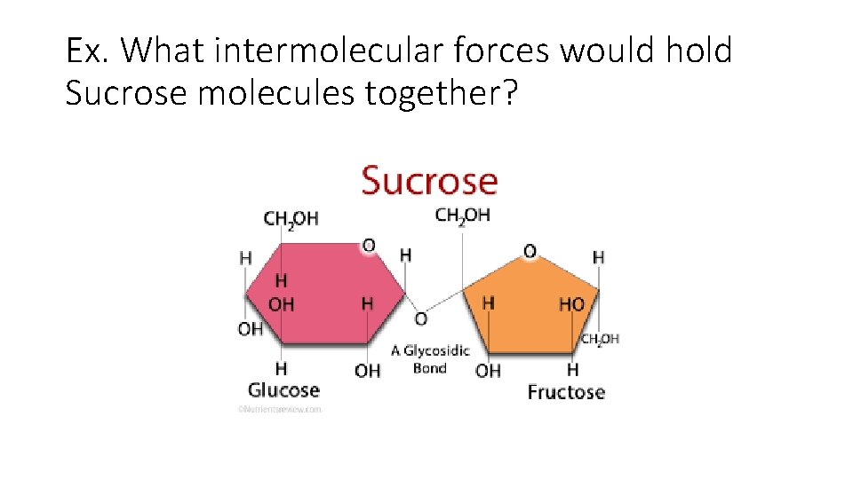 Ex. What intermolecular forces would hold Sucrose molecules together? 