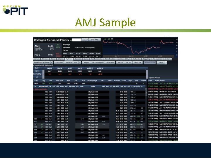 AMJ Sample AMJ Sample