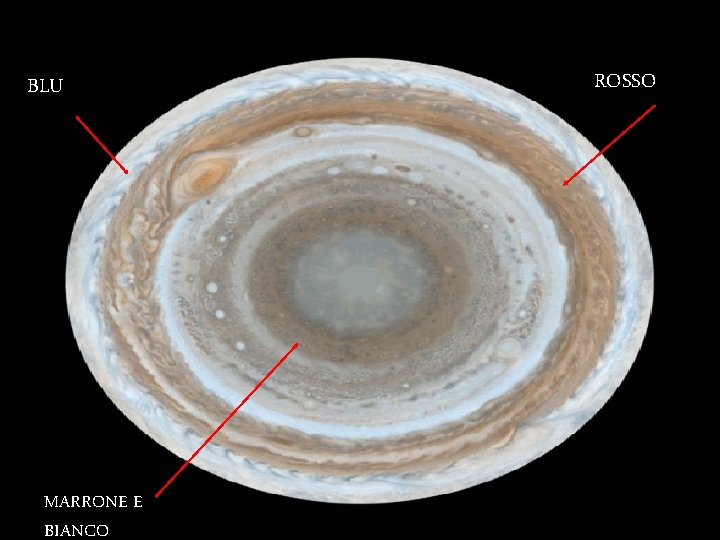 BLU MARRONE E BIANCO ROSSO 