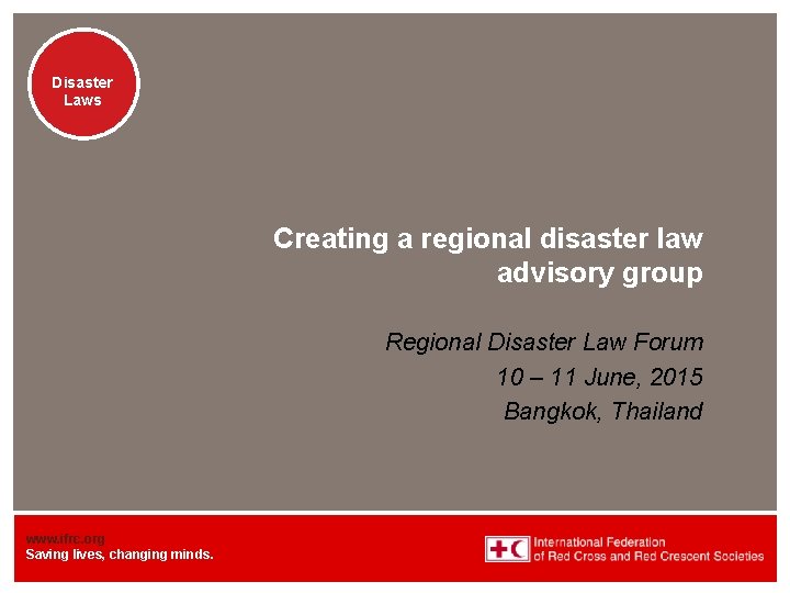 Disaster Laws Creating a regional disaster law advisory group Regional Disaster Law Forum 10