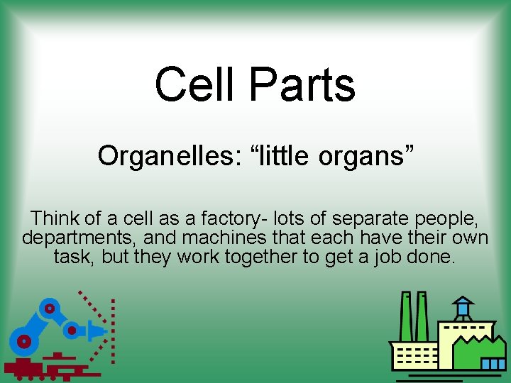 Cell Parts Organelles: “little organs” Think of a cell as a factory- lots of
