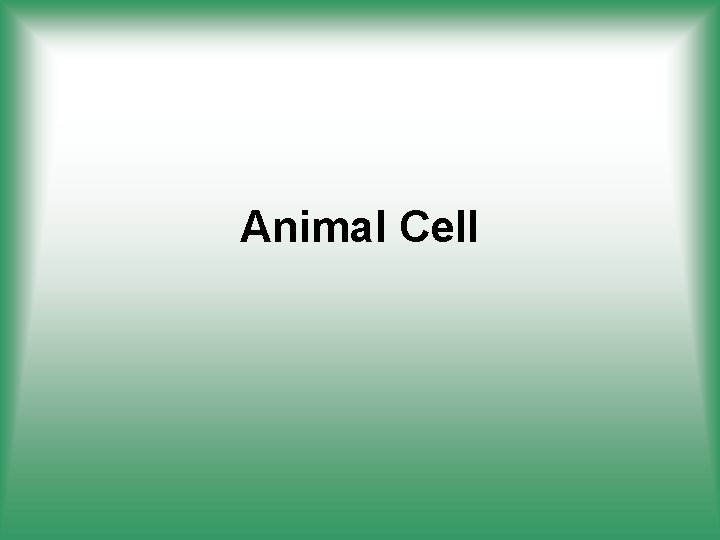 Animal Cell 