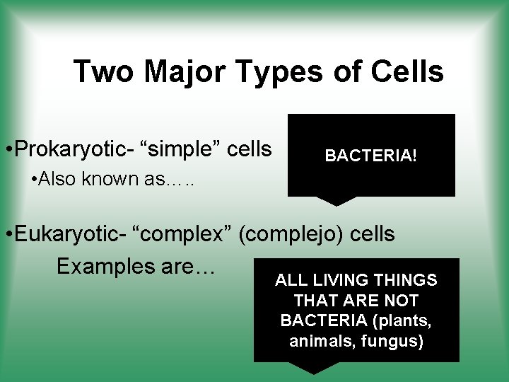 Two Major Types of Cells • Prokaryotic- “simple” cells BACTERIA! • Also known as….