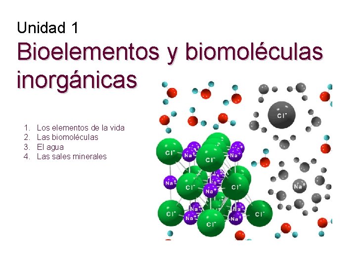 Unidad 1 Bioelementos y biomoléculas inorgánicas 1. 2. 3. 4. Los elementos de la