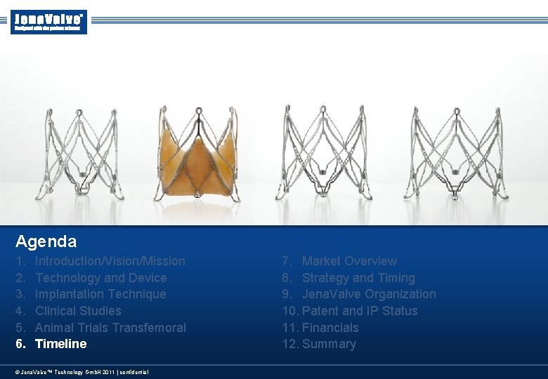 Agenda 1. 2. 3. 4. 5. 6. Introduction/Vision/Mission Technology and Device Implantation Technique Clinical Agenda 1. 2. 3. 4. 5. 6. Introduction/Vision/Mission Technology and Device Implantation Technique Clinical