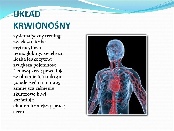 UKŁAD KRWIONOŚNY systematyczny trening zwiększa liczbę erytrocytów i hemoglobiny; zwiększa liczbę leukocytów; zwiększa pojemność