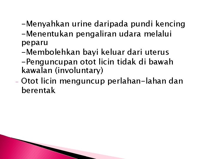 - -Menyahkan urine daripada pundi kencing -Menentukan pengaliran udara melalui peparu -Membolehkan bayi keluar