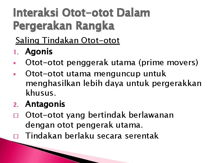 Interaksi Otot-otot Dalam Pergerakan Rangka Saling Tindakan Otot-otot 1. Agonis § Otot-otot penggerak utama