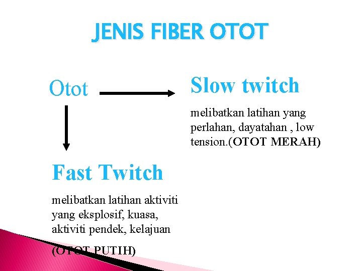 JENIS FIBER OTOT Otot Slow twitch melibatkan latihan yang perlahan, dayatahan , low tension.