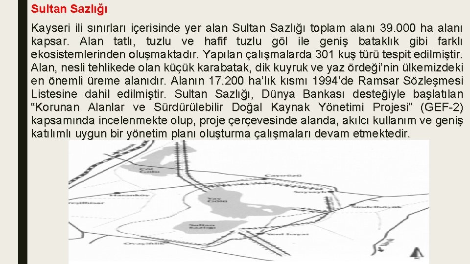 Sultan Sazlığı Kayseri ili sınırları içerisinde yer alan Sultan Sazlığı toplam alanı 39. 000