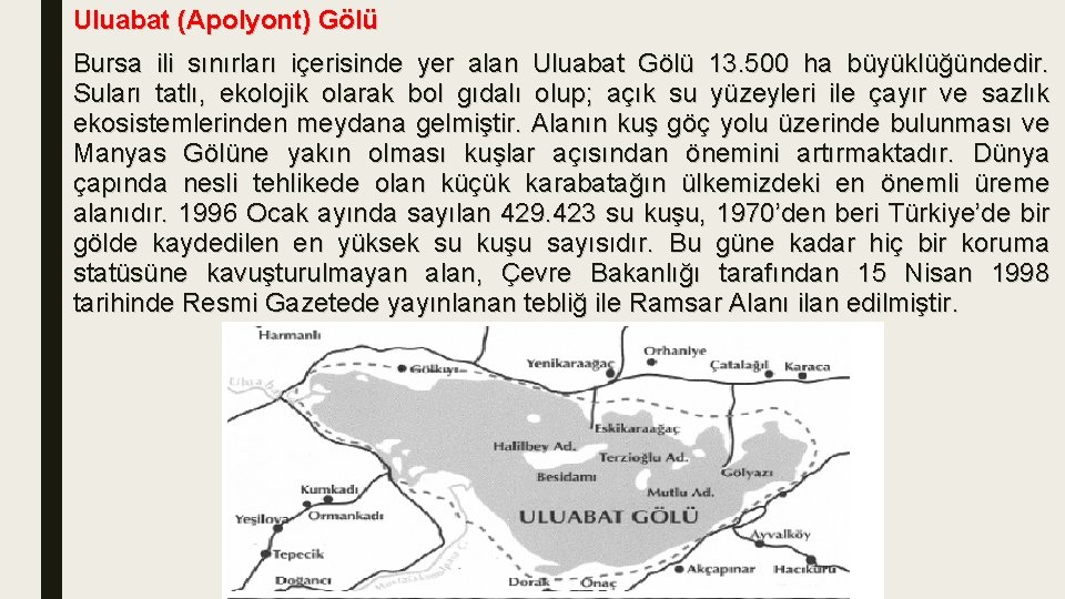 Uluabat (Apolyont) Gölü Bursa ili sınırları içerisinde yer alan Uluabat Gölü 13. 500 ha