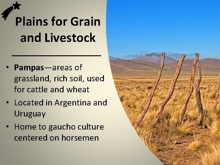 Plains for Grain and Livestock • Pampas—areas of grassland, rich soil, used for cattle