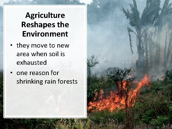 Agriculture Reshapes the Environment • they move to new area when soil is exhausted