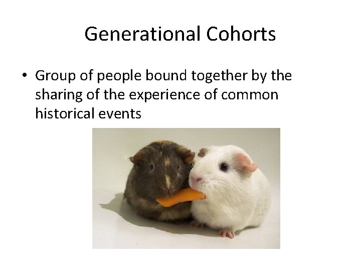 Generational Cohorts • Group of people bound together by the sharing of the experience