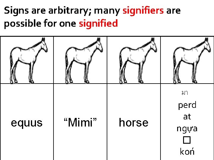 Signs are arbitrary; many signifiers are possible for one signified equus “Mimi” horse มา