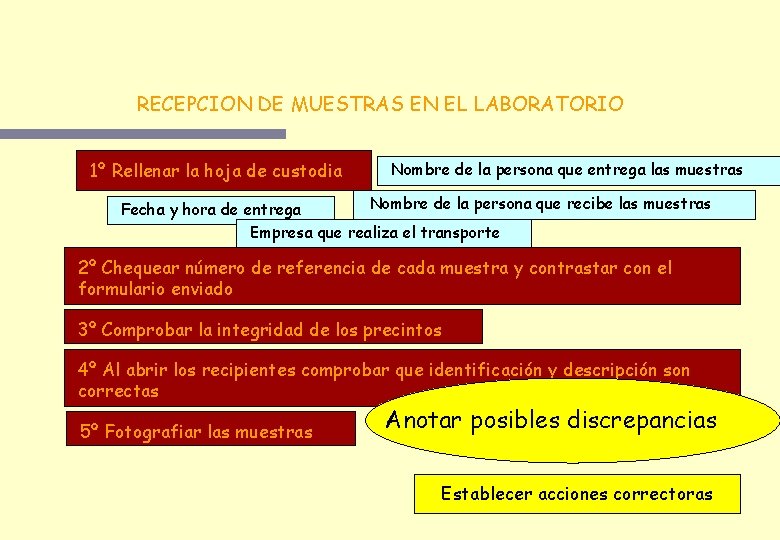 RECEPCION DE MUESTRAS EN EL LABORATORIO 1º Rellenar la hoja de custodia Nombre de