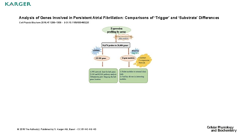 Analysis of Genes Involved in Persistent Atrial Fibrillation: Comparisons of ‘Trigger’ and ‘Substrate’ Differences