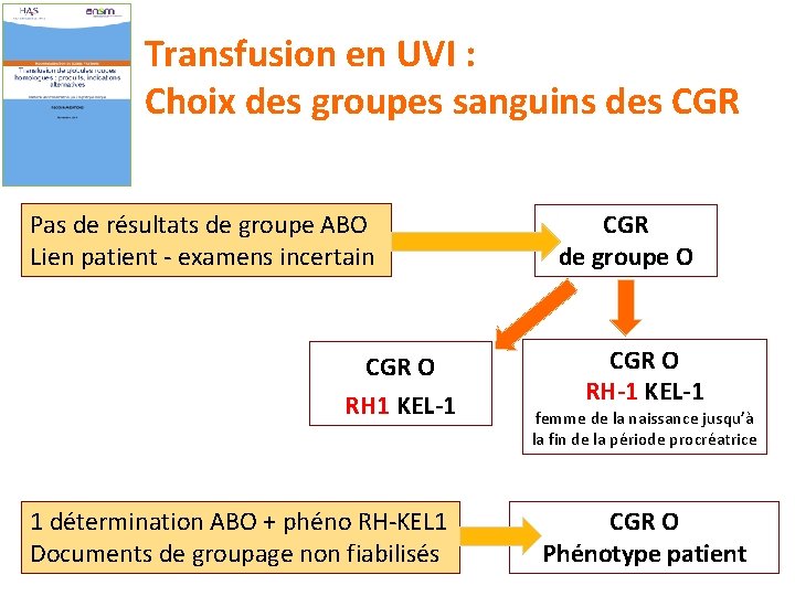 Transfusion en UVI : Choix des groupes sanguins des CGR Pas de résultats de
