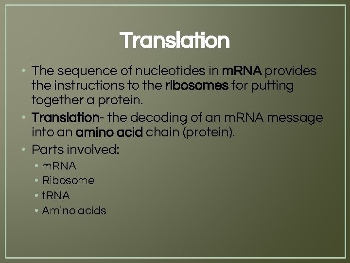 Translation • The sequence of nucleotides in m. RNA provides the instructions to the