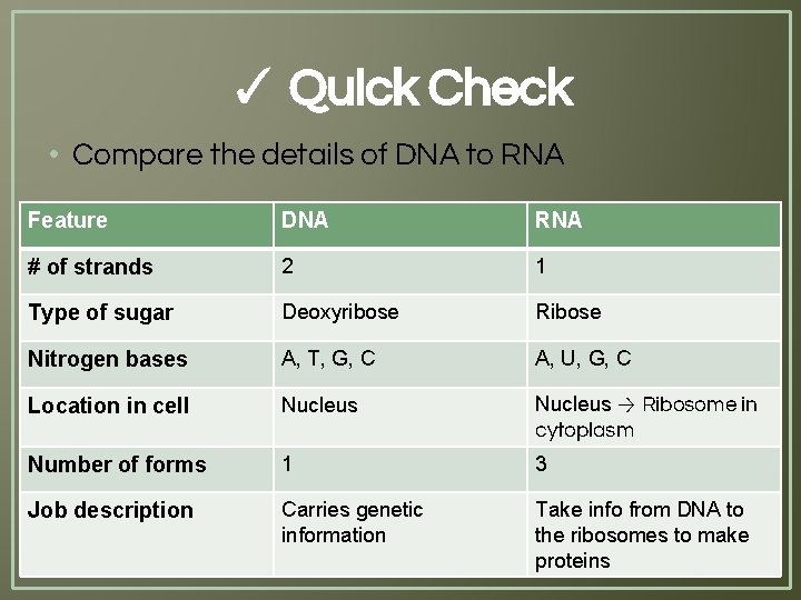 ✓ Quick Check • Compare the details of DNA to RNA Feature DNA RNA