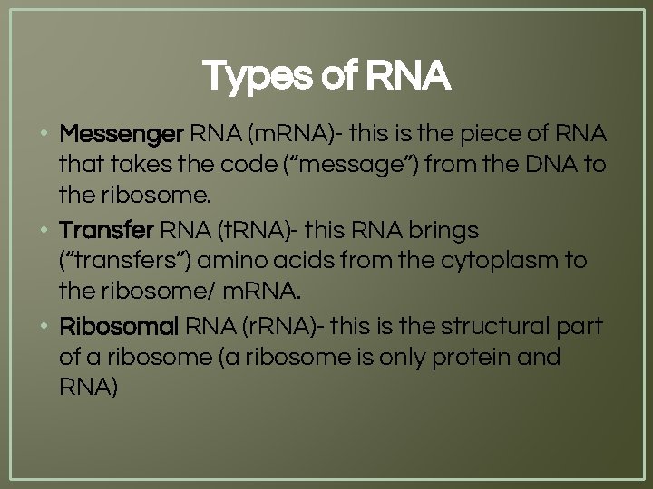 Types of RNA • Messenger RNA (m. RNA)- this is the piece of RNA